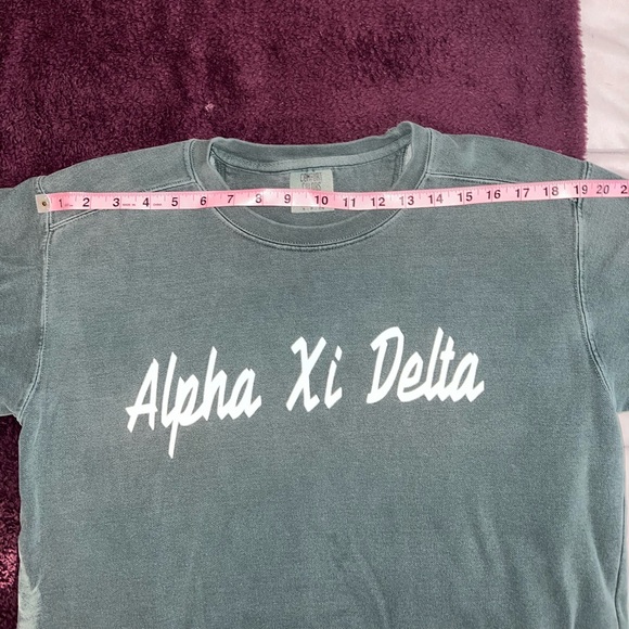 Comfort Colors Alpha Xi Delta (AXiD) crewneck - Picture 3 of 9